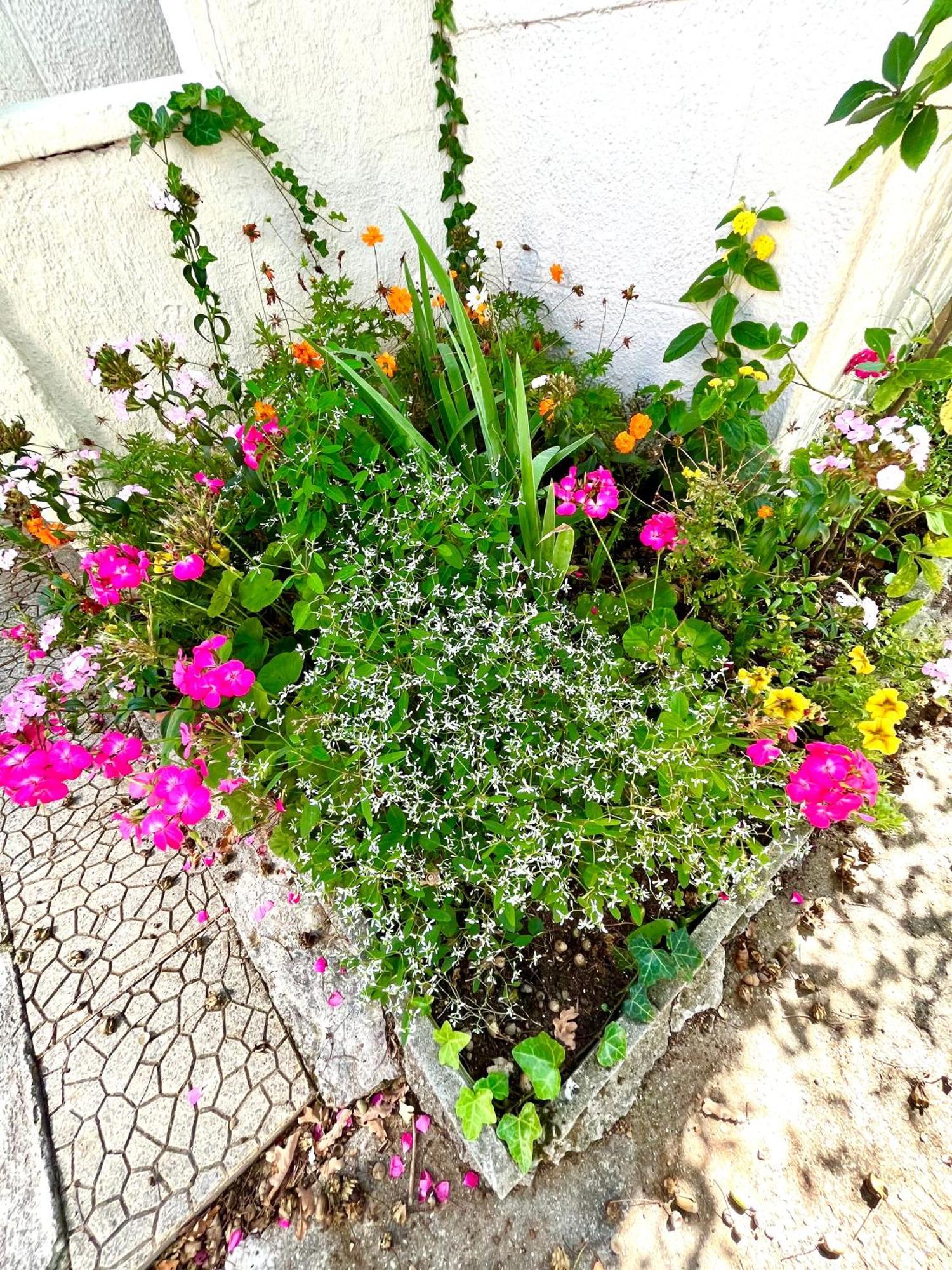 Cosy House Near Paris, Cdg Airport + Parking Aulnay-sous-Bois Exterior foto